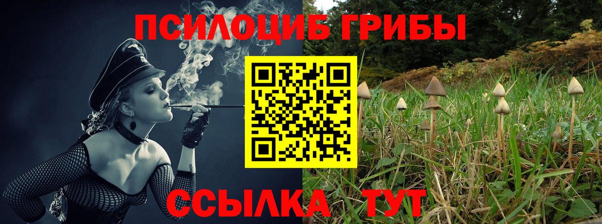 Псилоцибиновые грибы Magic Shrooms  Псилоцибиновые грибы прущие грибы  Киселёвск  Вход с VPN 
