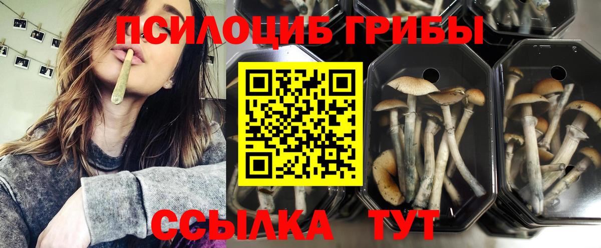Галлюциногенные грибы ЛСД Киселёвск